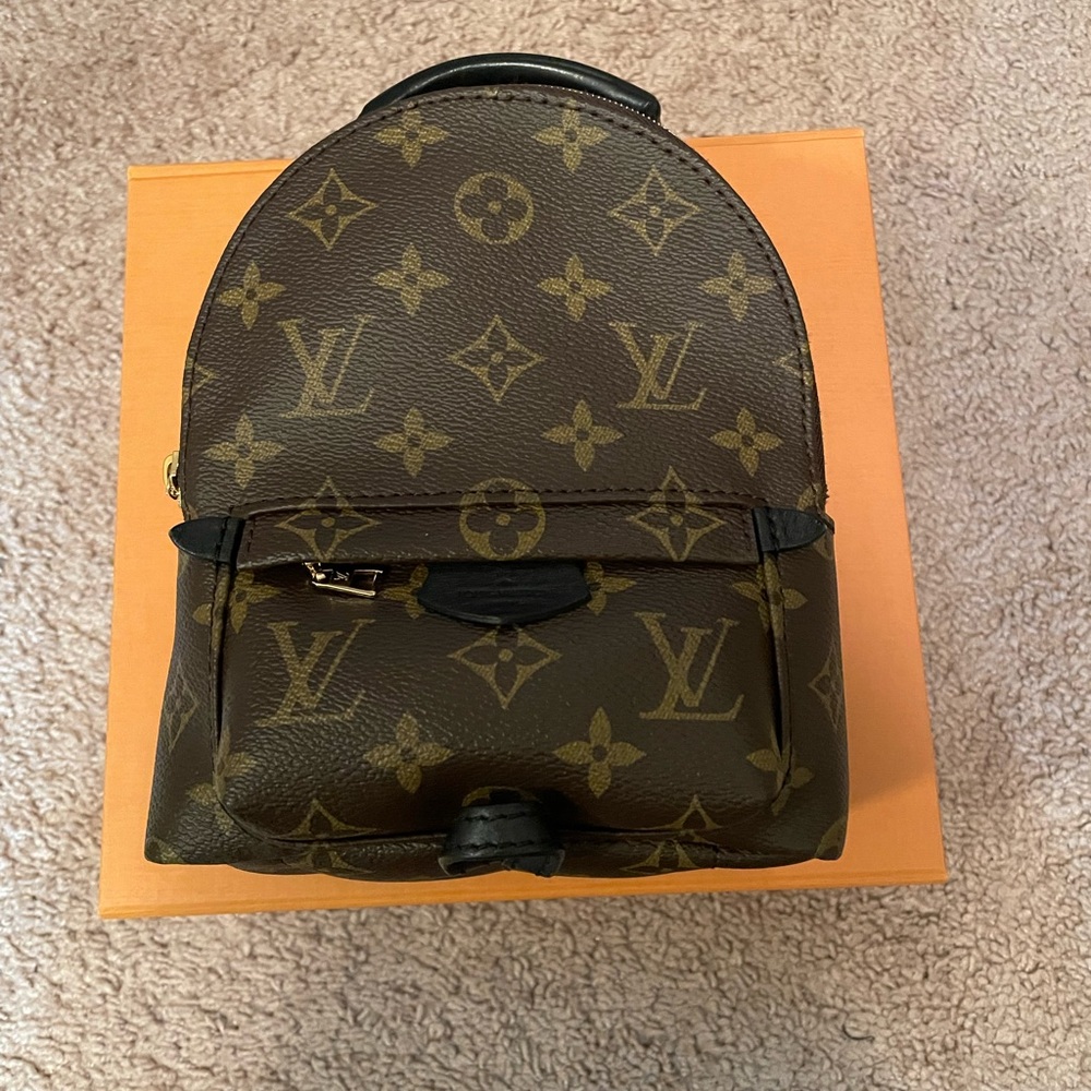Louis Vuitton Palm Springs Mini